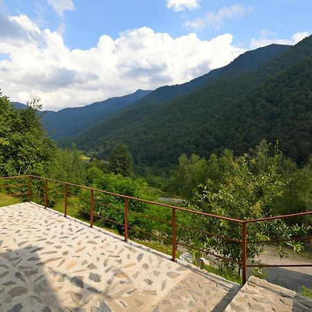 Cabana Oana Retezat Rîu de Mori Exteriör bild