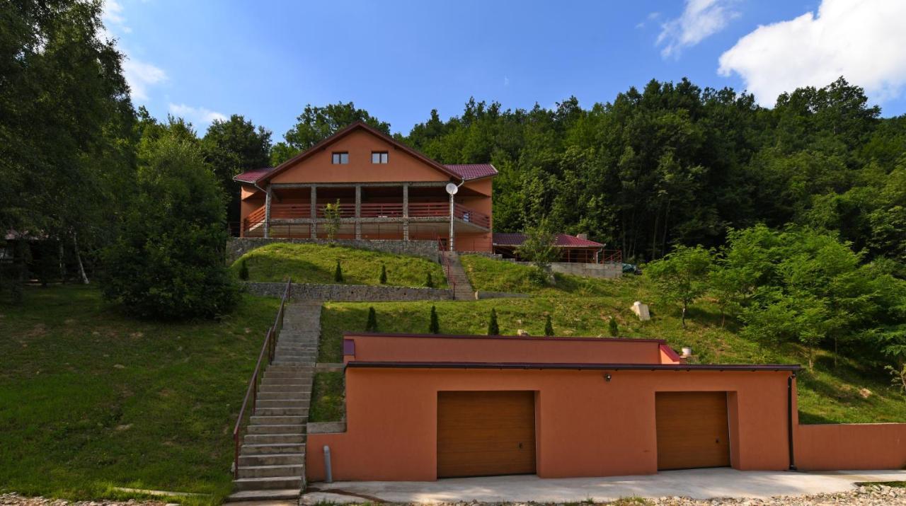 Cabana Oana Retezat Rîu de Mori Exteriör bild